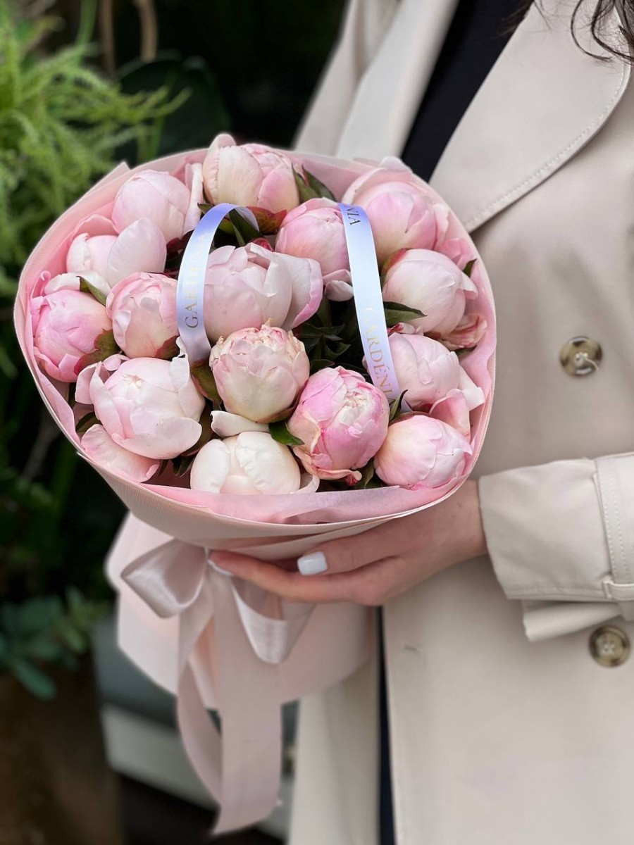 Піони сорту Gardenia